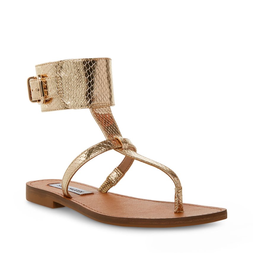 Gold Steve Madden Rico Snake Women's Flat Sandals | PH 3147A16J